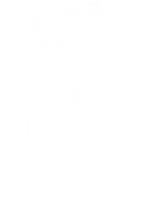MUSE LetzBingo